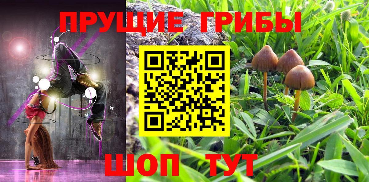 Галлюциногенные грибы GOLDEN TEACHER Ишим