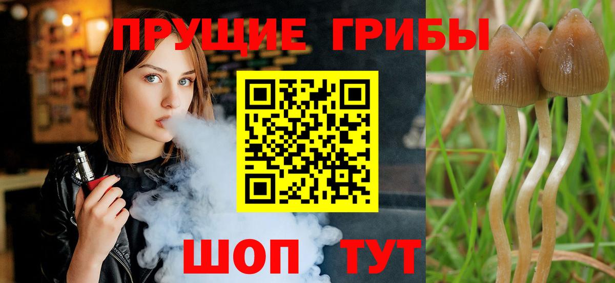 Ишим  Галлюциногенные грибы GOLDEN TEACHER  где купить наркотик  Вход с VPN  Псилоцибиновые грибы Psilocybe 